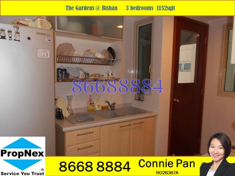 The Gardens At Bishan (D20), Condominium #103140132